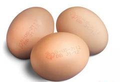 <b>为什么鸡蛋喷码机会比普通的小字符喷码机要贵</b>